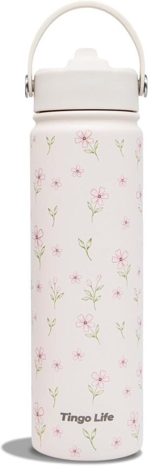 25oz Insulated Stainless Steel Aest...
