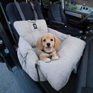 JACKO & CO – Premium Dog Car...