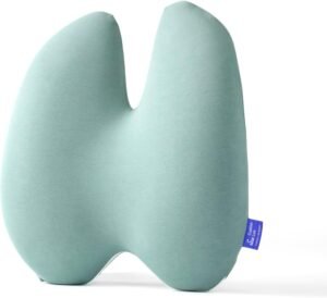 C CUSHION LAB Extra Dense Lumbar Pi...