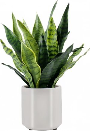 Fake Snake Plant 22″ Tall, Re...