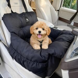JACKO & CO – Premium Dog Car...