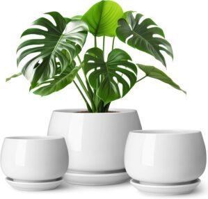 vancasso 3-Pack Ceramic Plant Pots,...