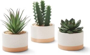 Artificial Succulent Plants in Cera...