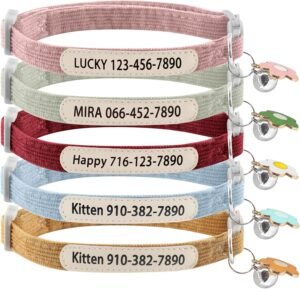Personalized Cat Collars Breakaway ...