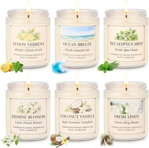 YINUO LIGHT 6 Pack Scented Candles ...