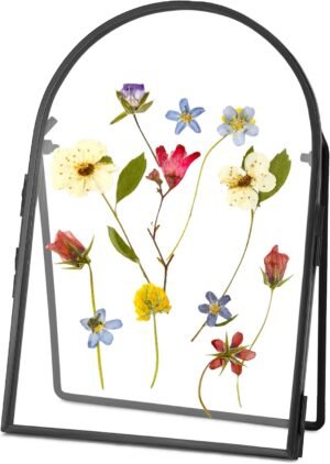 REDHUGO Double Glass Frame for Pres...