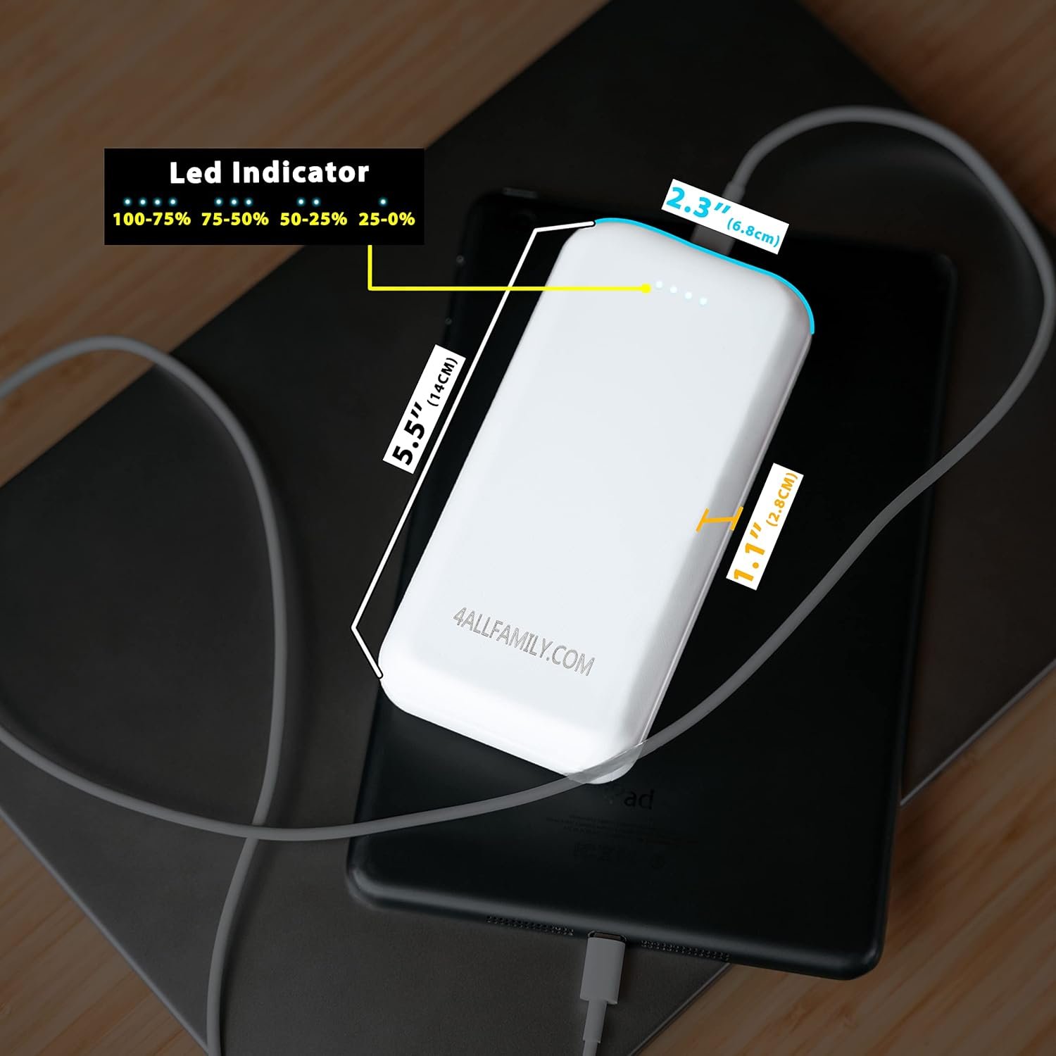 4ALLFAMILY 20000mah Portable POWERBANK | Engineered Specifically to fit USB Version Coolers Voyager and Explorer Medicine Cooler Travel Case | Compatible with Most Other Gadgets - Image 2