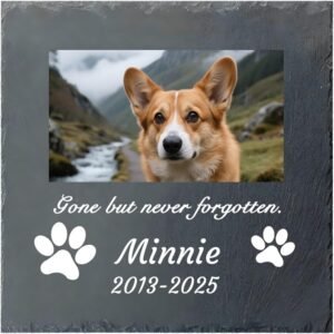 Custom Pet Memorial Stone – P...