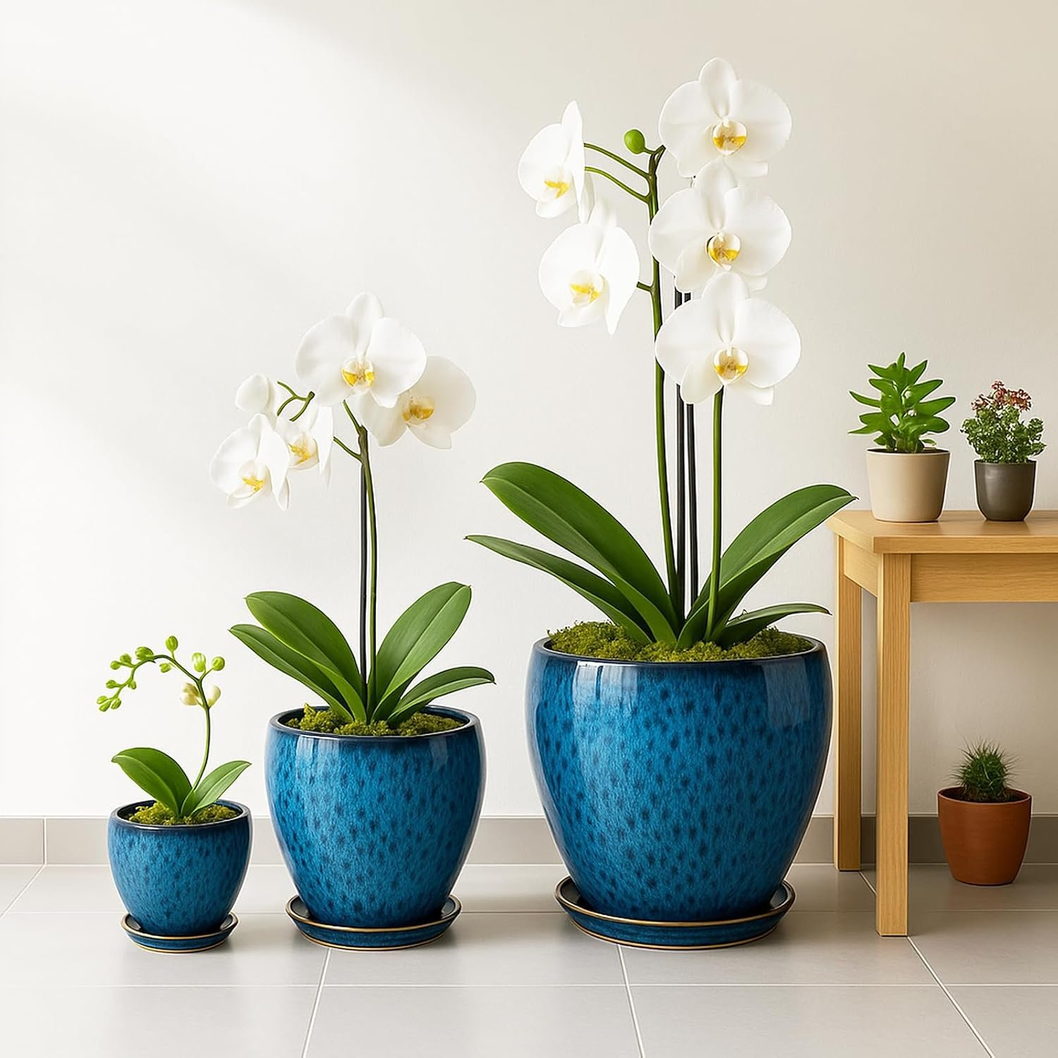 Deep Dream 10 Inch Plant Pot- Ceramic Planter Pot Round Plant Pots for Indoor Plants Outdoor Large Flower Pot with Drainage Holes & Trays, Blue - Image 7