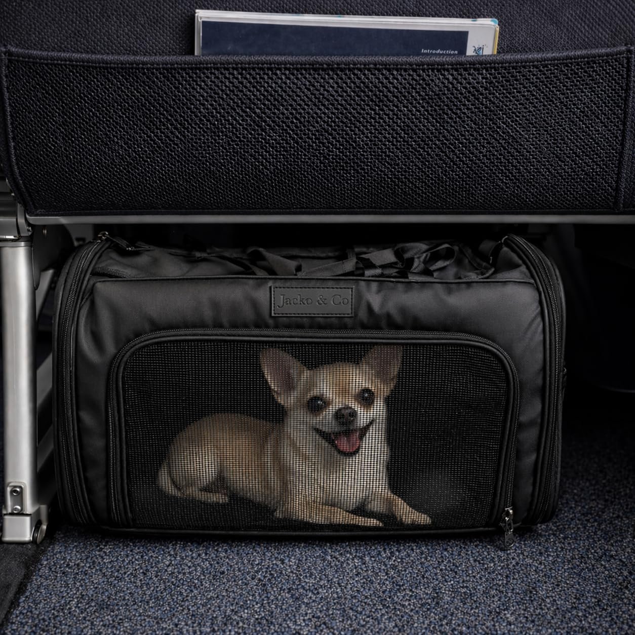 JACKO & CO - Premium Dog & Cat Carrier up to 10lbs, TSA Airline Approved with Luggage Loop, Soft-Sided Travel Carrier Bag for Pets, Small Dogs, Puppies, Kittens, Ventilated Windows & Fully Collapsible - Image 3