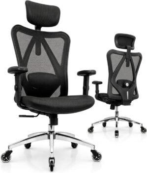 Duramont Ergonomic Office Chair | A...