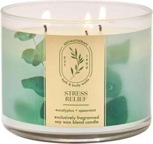 Bath & Body Works Eucalyptus S...