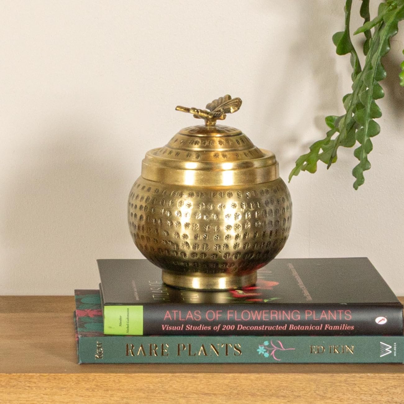 Creative Co-Op Round Hammered Metal Container with Butterfly Finial, Brass Finish - Image 10