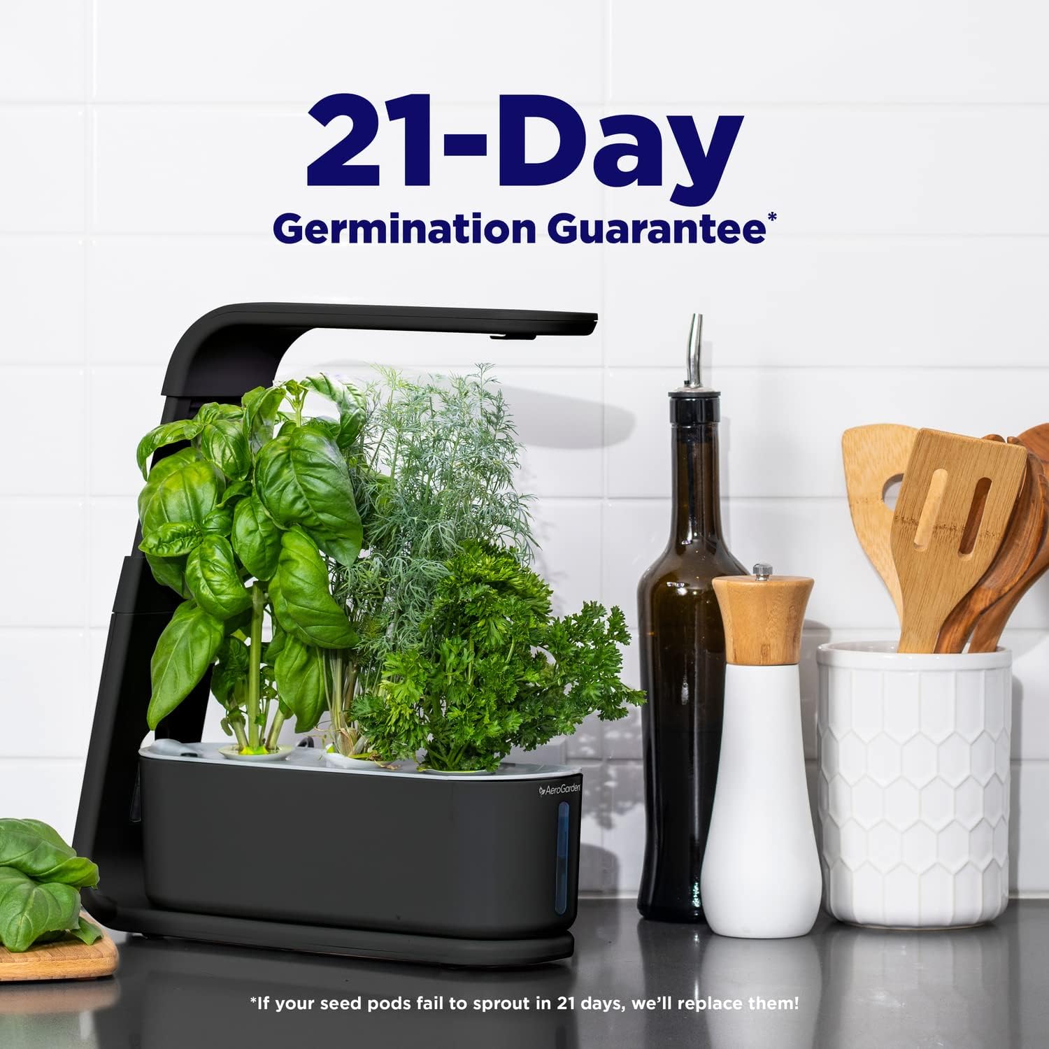 AeroGarden Sprout - Indoor Garden with LED Grow Light, Black - Image 3