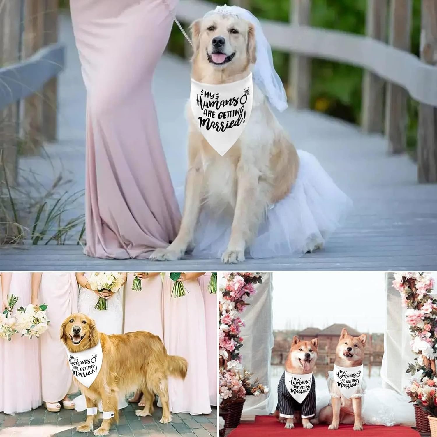 White My Humans are Getting Married Dog Wedding Engagement Bandana,Wedding Photo Photos, LMSHOWOWO Dog Bandana Wedding Engagement Announcement Gifts Pet Scarf Accessories for Dog Lovers, Bridal Shower - Image 6
