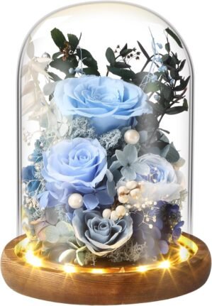 Preserved Rose in Glass Dome –...