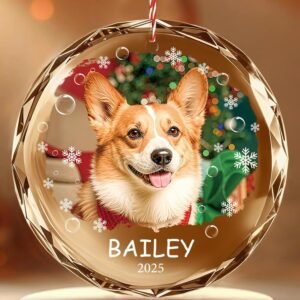 Bemaystar Personalized Dog Cat Orna...