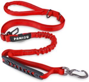 Pamiou Heavy Duty Dog Leash with St...