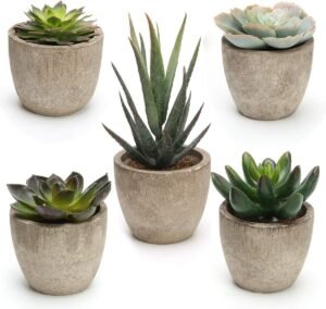 Coitak Artificial Succulent Plants ...