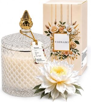 VIONAMI Luxury Scented Candle Gift ...