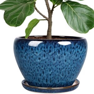 Deep Dream 10 Inch Plant Pot- Ceram...