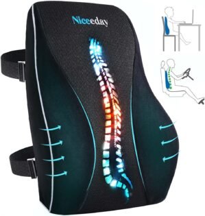 Niceeday Lumbar Support Pillow for ...