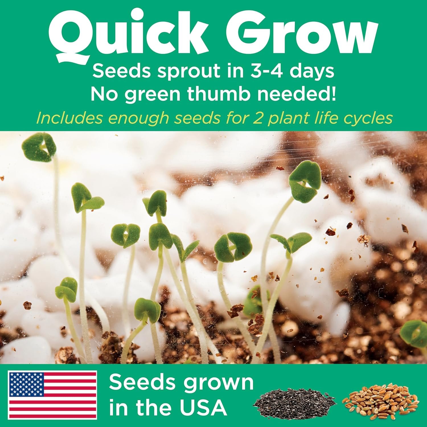 Creativity for Kids Grow 'N Glow Terrarium Kit - Educational Science Kits | Screen Free Summer Fun Activities | Gifts for Boys and Girls | Craft and STEM Projects (Ages 6+) - Image 8