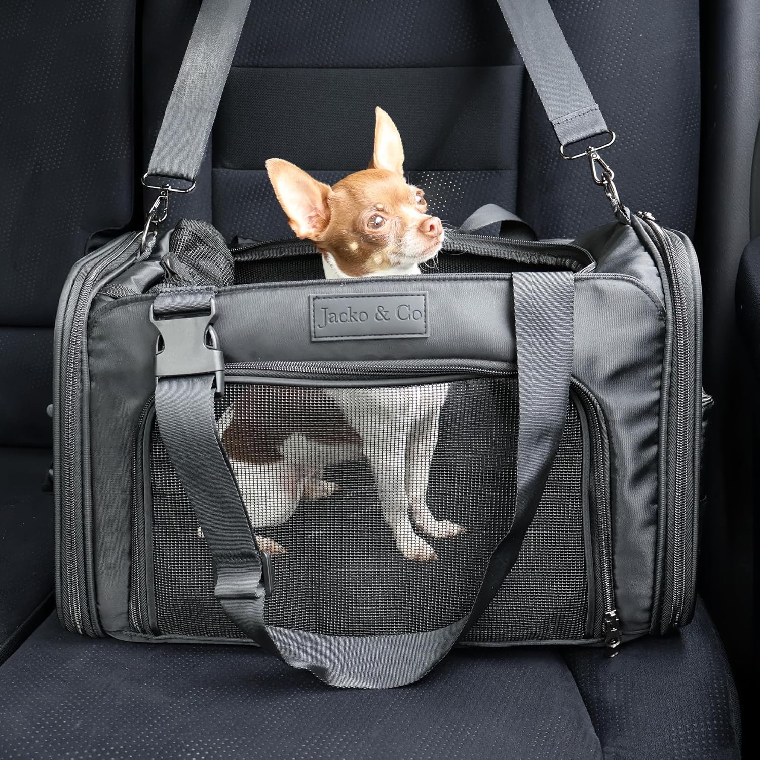JACKO & CO - Premium Dog & Cat Carrier up to 10lbs, TSA Airline Approved with Luggage Loop, Soft-Sided Travel Carrier Bag for Pets, Small Dogs, Puppies, Kittens, Ventilated Windows & Fully Collapsible - Image 4