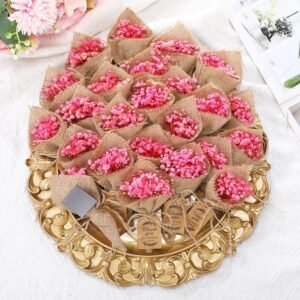 Kingdder 24 Pcs Mini Magnet Dried F...