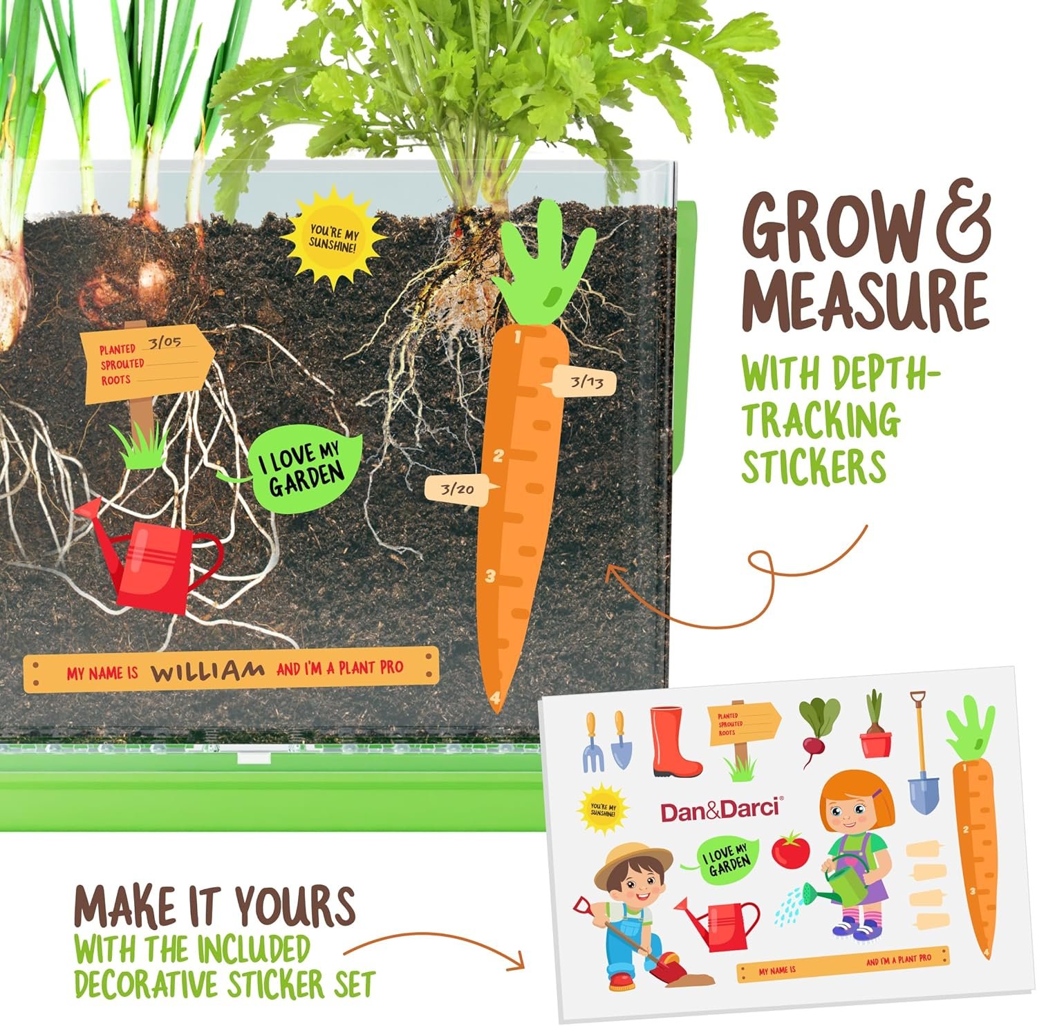 Root Viewer Kit for Kids - Grow Your Own Plant Garden for Boys & Girls - Science STEM Toy & Craft Growing Kits for Ages 4-8 Birthday Gifts for Boy, Girls 4, 5, 6, 7, 8, Year Old - Gardening Set Toys - Image 3