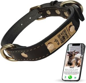 Personalized QR Code Dog Collar ...