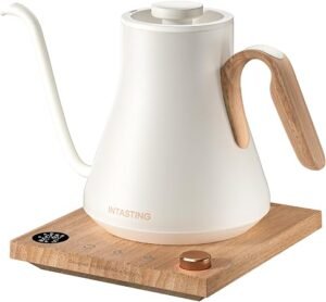 INTASTING Gooseneck Electric Kettle