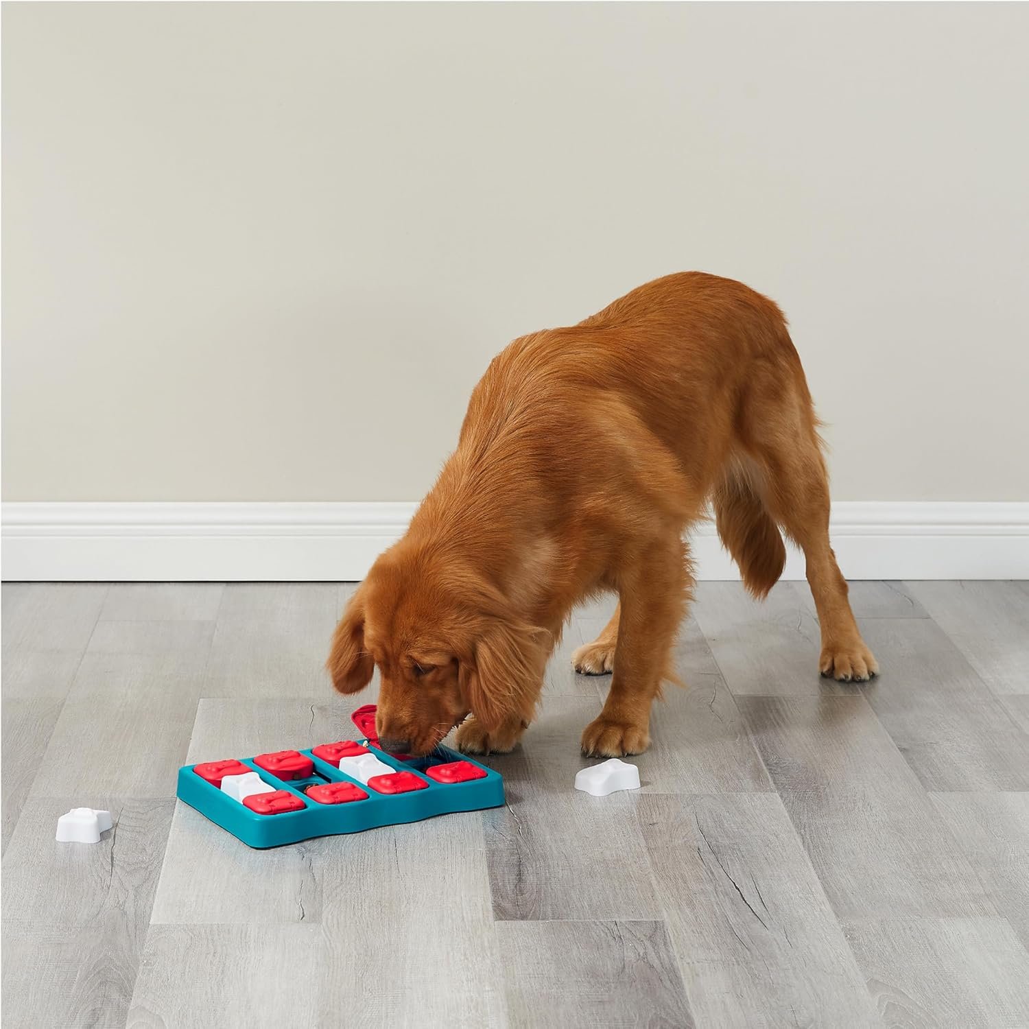 Outward Hound by Nina Ottosson Dog Brick – Interactive Treat Puzzle Enrichment Toy, Level 2 Intermediate - Image 8