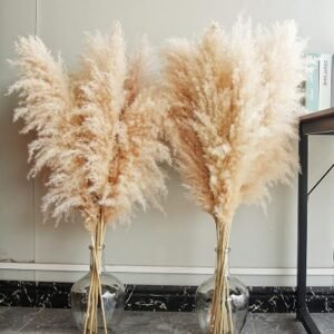 Tall Natural Pampas Grass, 40″...