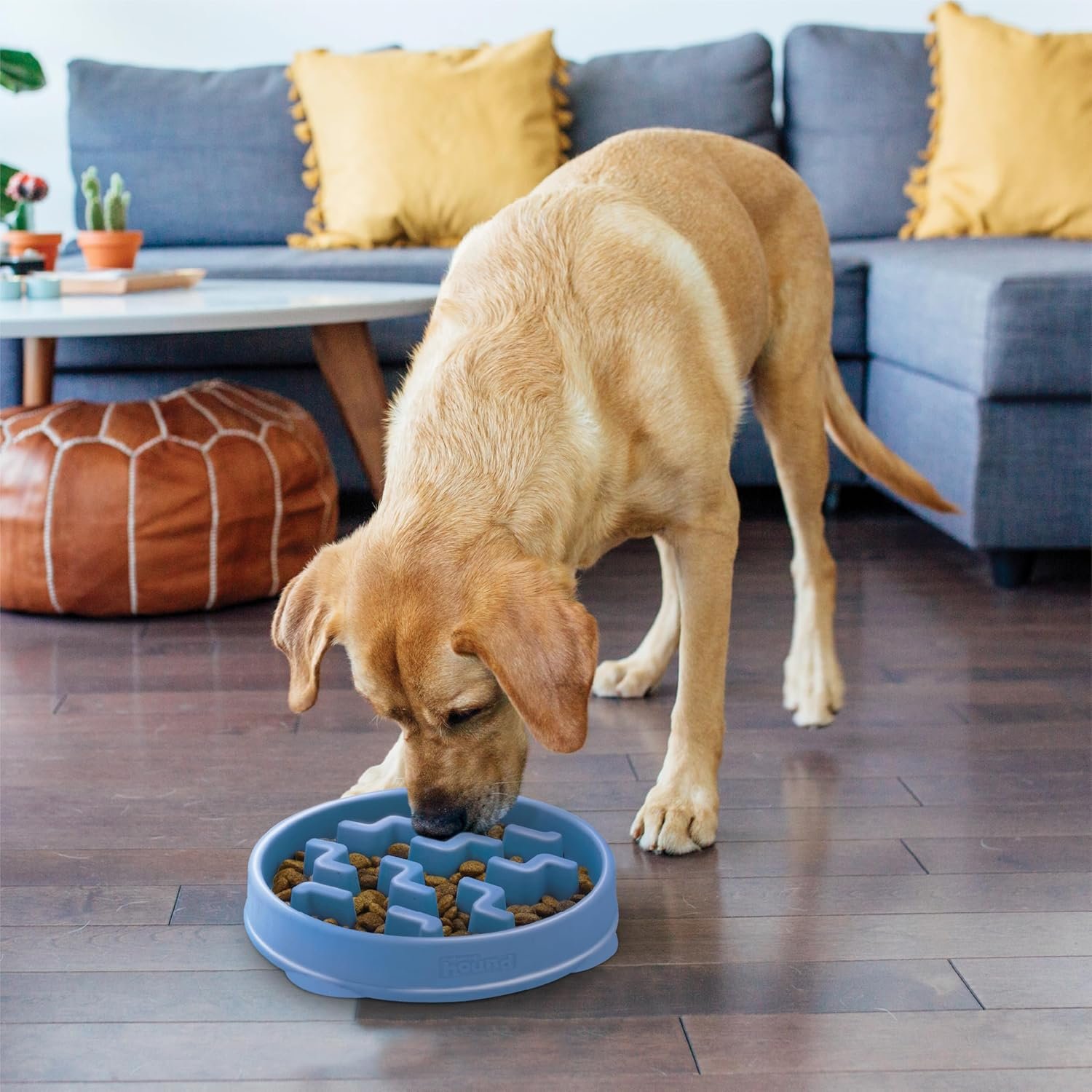 Outward Hound Fun Feeder Slo Bowl – Large 4‑Cup Capacity, Slow Feeding, Medium to Large Dogs, Non‑Slip, Blue, Notch Pattern - Image 6