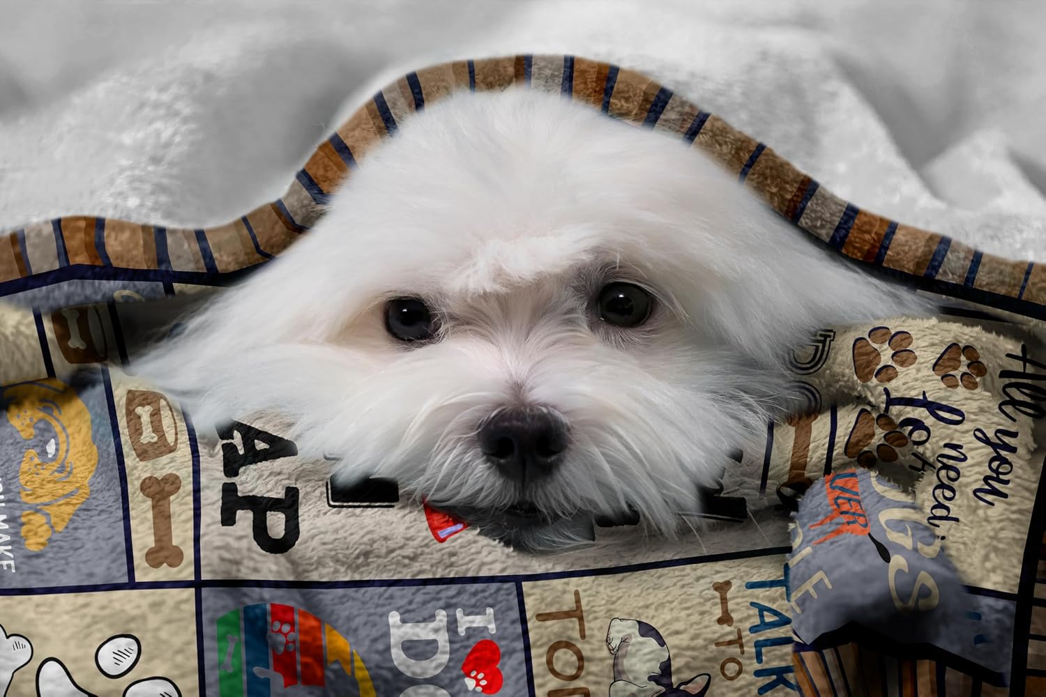 Dog Mom Gifts for Women, Dog Lovers Gifts, Presents for Dog Lovers/Moms Women, Doggie Blanket 50"x60", Presents from Doggie to Mom - Image 4