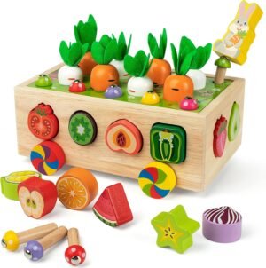 Coogam Montessori Wooden Shape Sort...