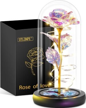 Otlonpe Preserved Glass Rose Flower...