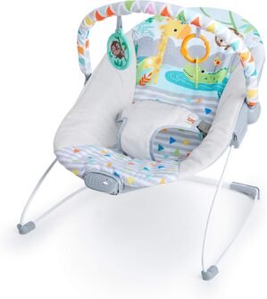 Bright Starts Baby Bouncer with Soo...