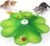 LED Interactive Cat Toys