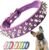 Spiked Studded Dog Collar, Adjustable Soft Leather Puppy Collar for Small Medium Dogs Bulldog Pitbull Mastiff Poodle Boxer (M, Purple)