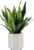 Fake Snake Plant 22″ Tall, Realistic Touch Leaves, Potted Artificial Plants Indoor for Home Decor Small Office Home Living Room