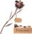 Copper Metal Rose — 7th Anniversary Everlasting Flower