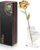 Anthonic 24K Gold Dipped Real Rose — Romantic Gift