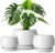 vancasso 3-Pack Ceramic Plant Pots, 3.7/4.8/6.2 Inch Indoor Planters with Saucers & Drainage Hole Planter pots for Indoor Plants and Flower, White