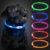 Rechargeable LED Light-Up Dog Collar (Waterproof, 3 Modes)