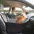 Pawaboo Dog Car Seat for Small Medium Dogs, Dog Booster Car Seat with Safety Belts & Elevated Thick Cushion, Detachable Washable Travel Pet Seats Bed for Cars with Storage Pocket Fits Front/Back Seats