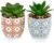 Artificial Plants Succulent Flowers in Ceramic Planter 2 Pack Small Fake Plants Potted for Home Office Desk Decor Farmhouse Living Room Bedroom Shelves Decoration