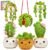 MAGIMUSE Crochet Kit for Beginners, Crochet Starter Kits, Amigurumi Craft Knitting Crocheting Kits with Step-by-Step Video Tutorials, 6 Pack Hanging Potted Plants Family(40%+ Yarn