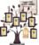 Philip Whitney Family Tree Picture Frame Display
